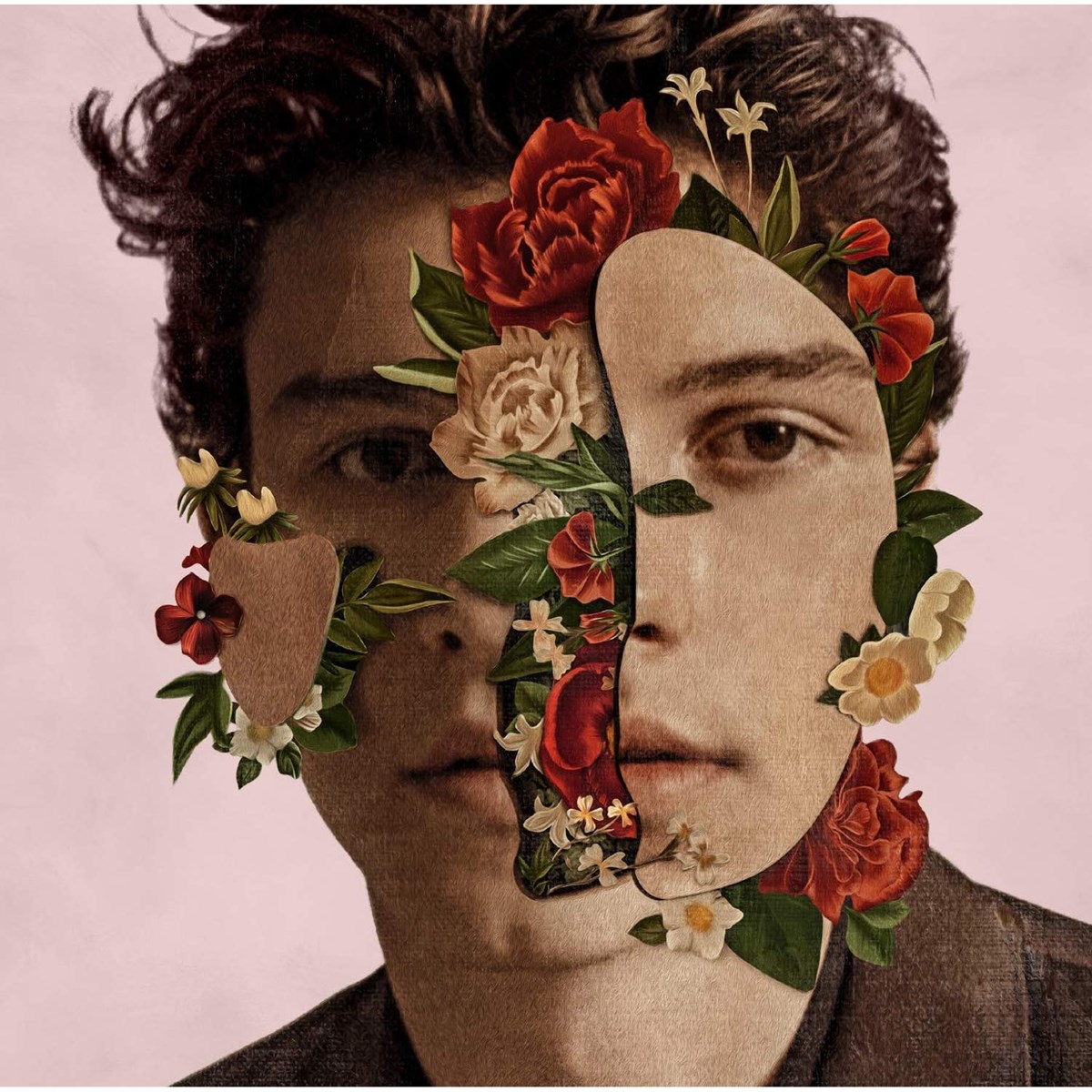 Afbeelding van Shawn Mendes - Shawn Mendes