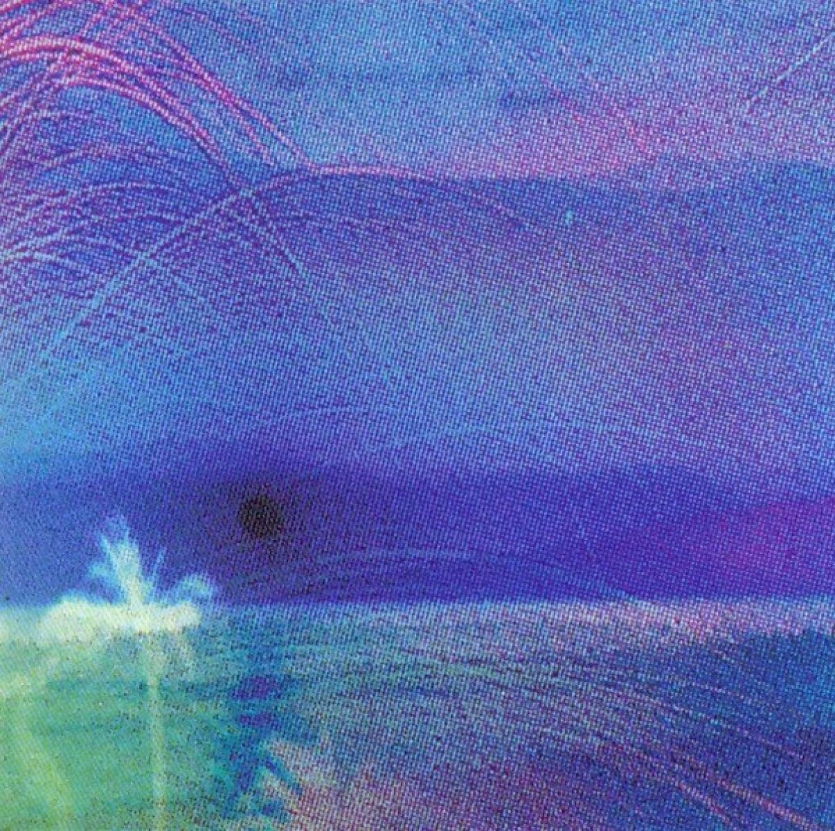 Afbeelding van Flying Saucer Attack & Roy Montgomery - Goodbye