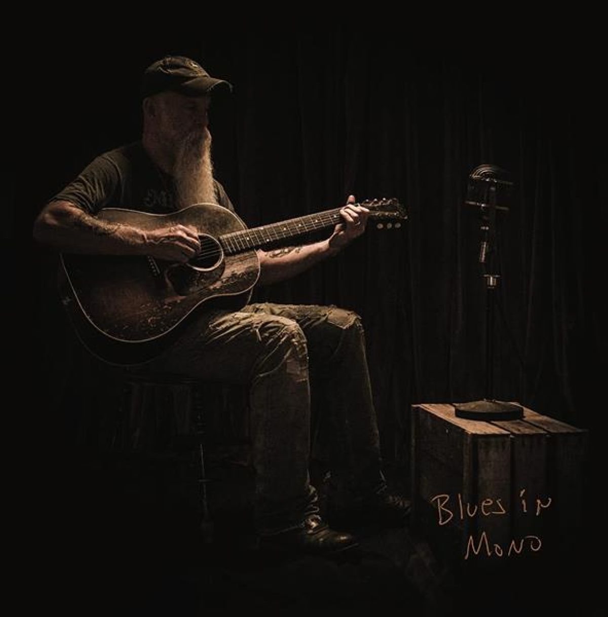 Afbeelding van Seasick Steve - Blues In Mono