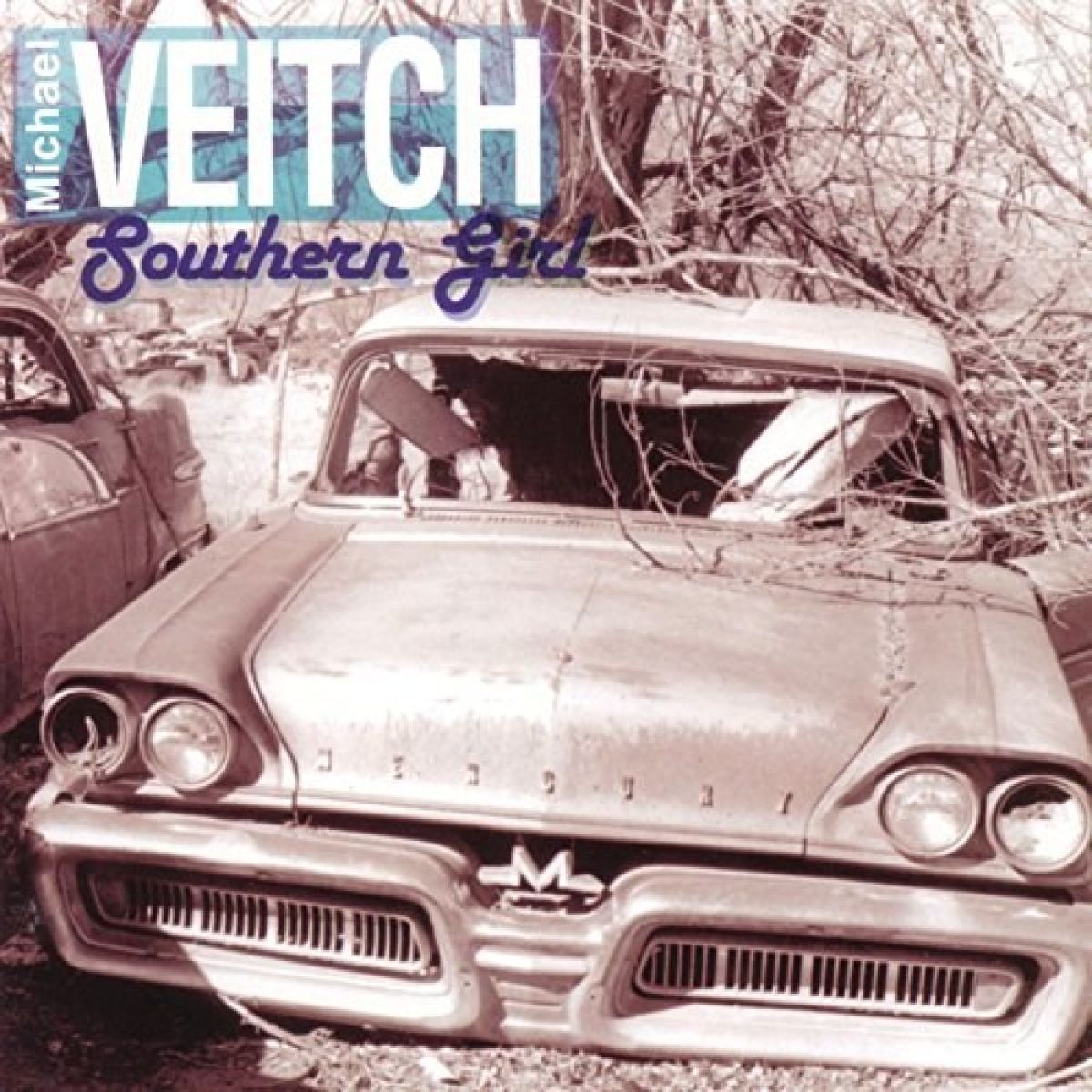 Afbeelding van Michael Veitch - Southern Girl