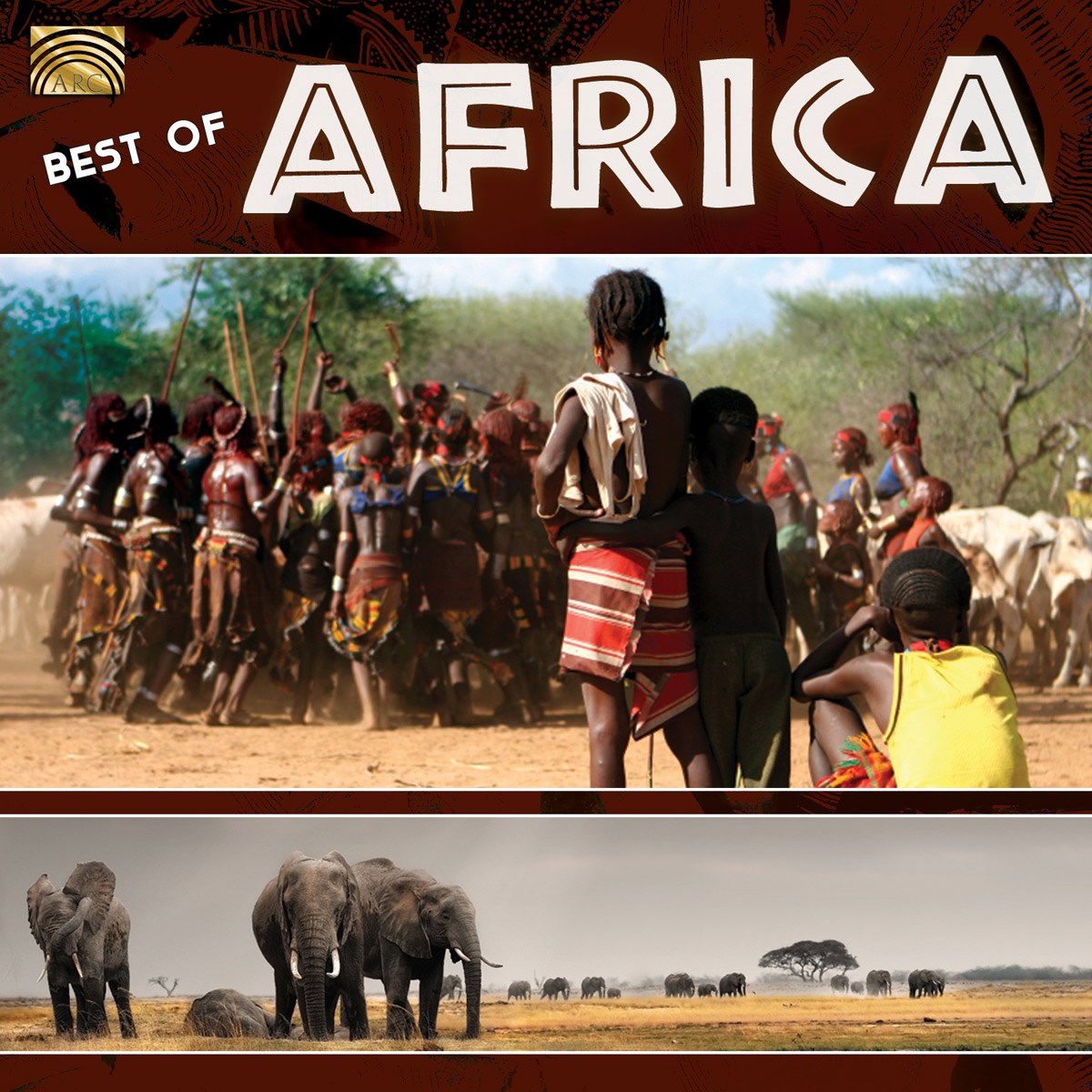 Afbeelding van Various Artists - Best Of Africa
