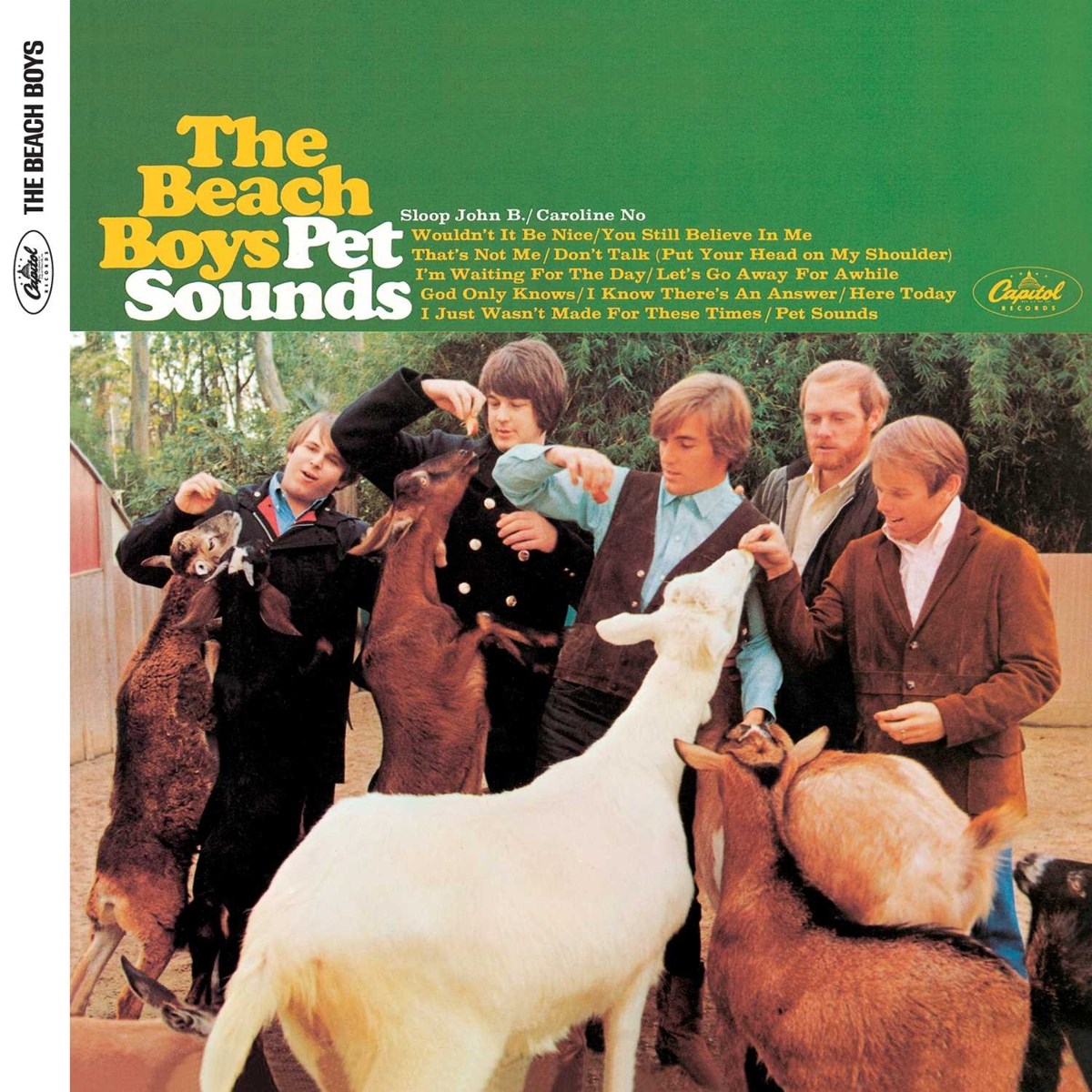 Afbeelding van The Beach Boys - Pet Sounds