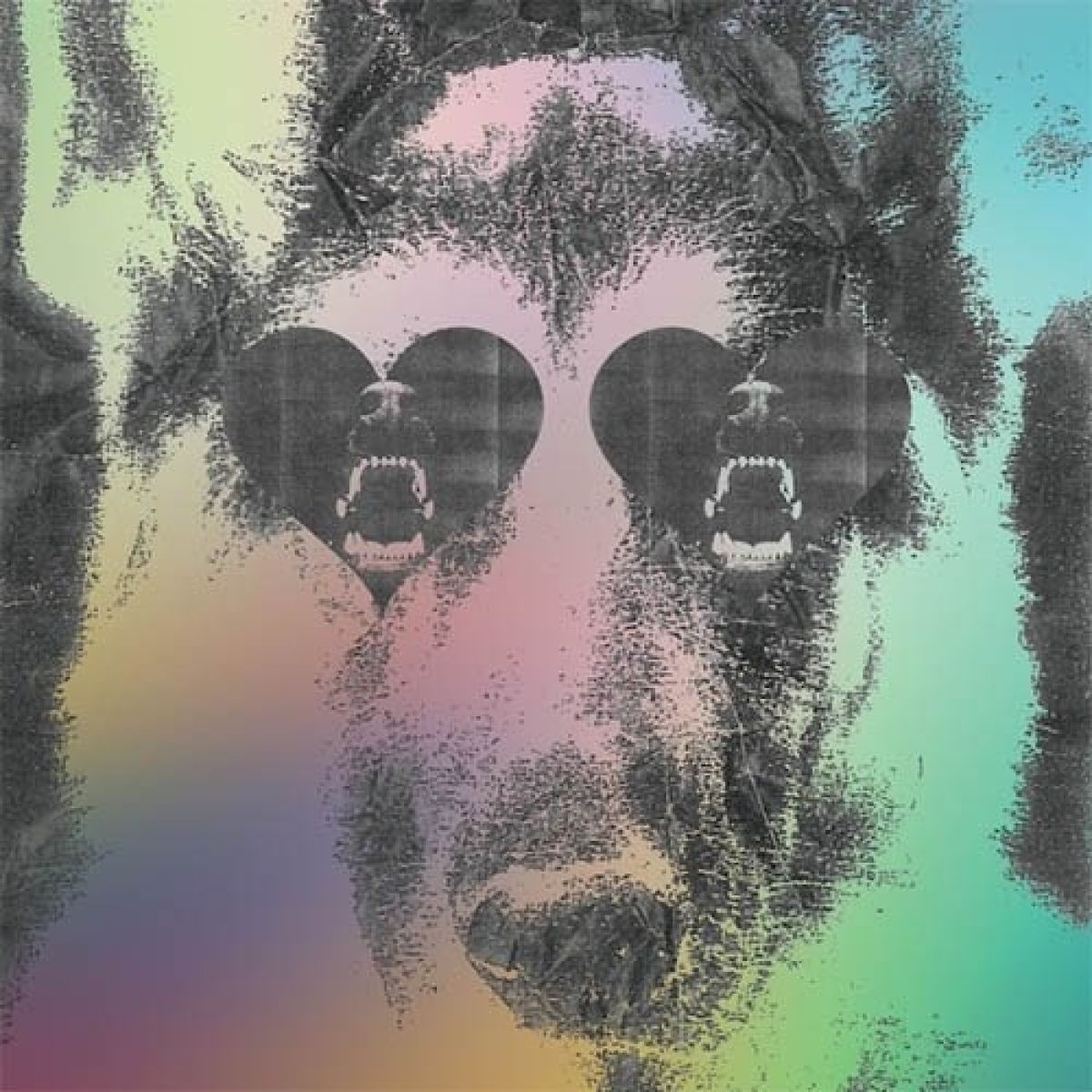 Afbeelding van Crocodiles - Boys
