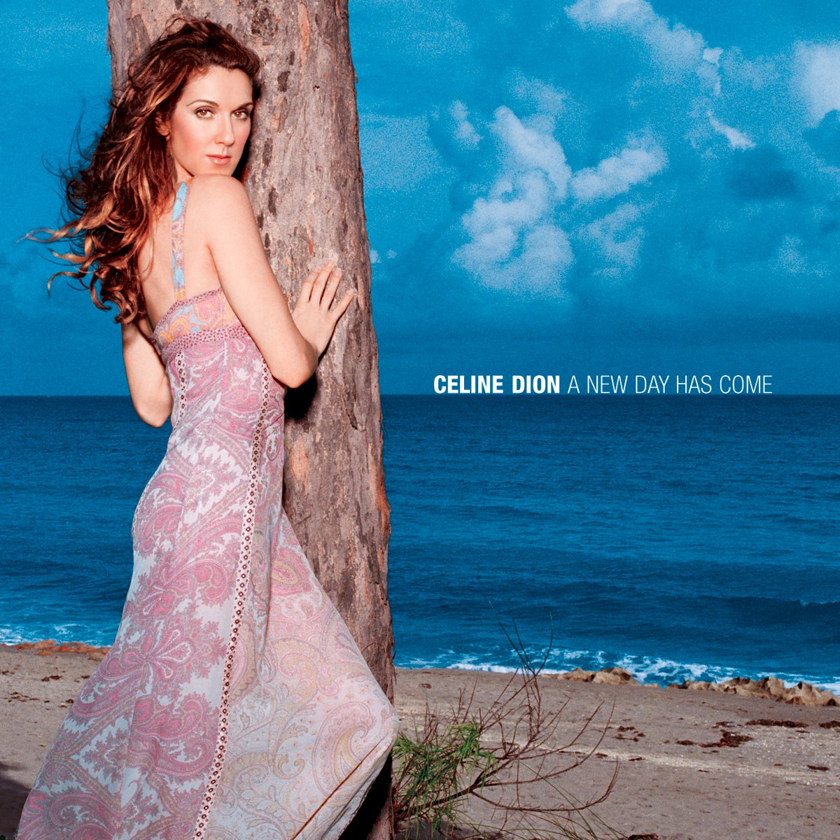 Afbeelding van Céline Dion - A New Day Has Come