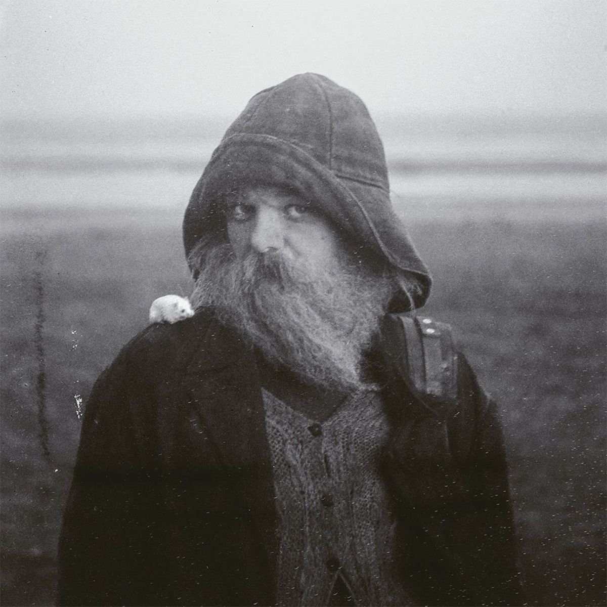 Afbeelding van Mary In The Junkyard - Role Model Hermit