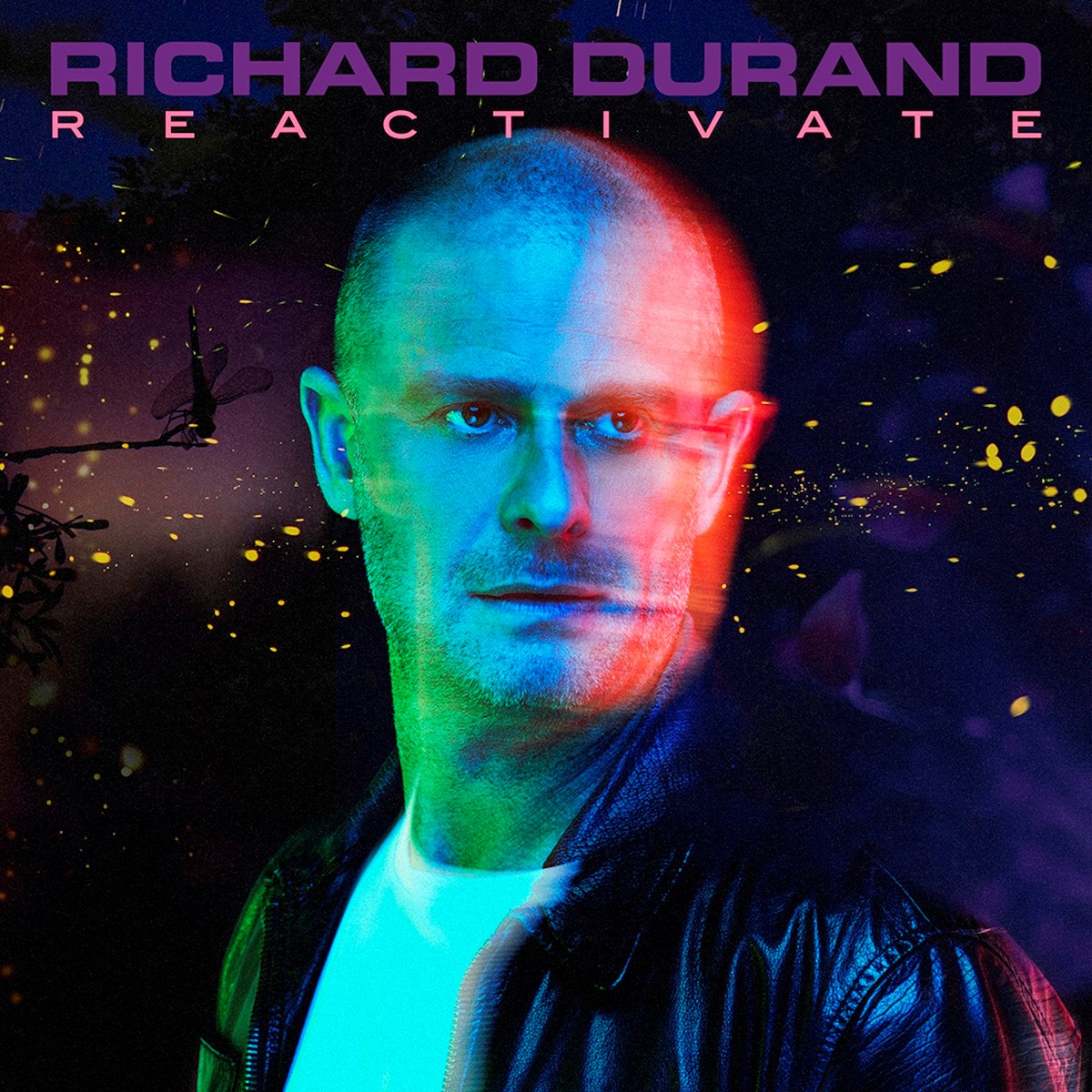 Afbeelding van Richard Durand - Reactivate