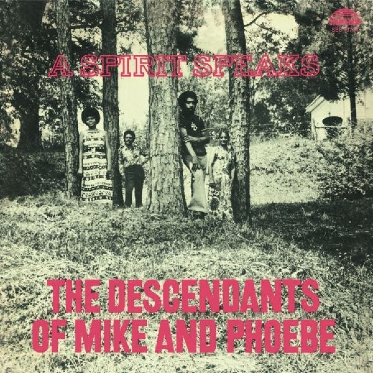 Afbeelding van The Descendants Of Mike And Phoebe - A Spirit Speaks