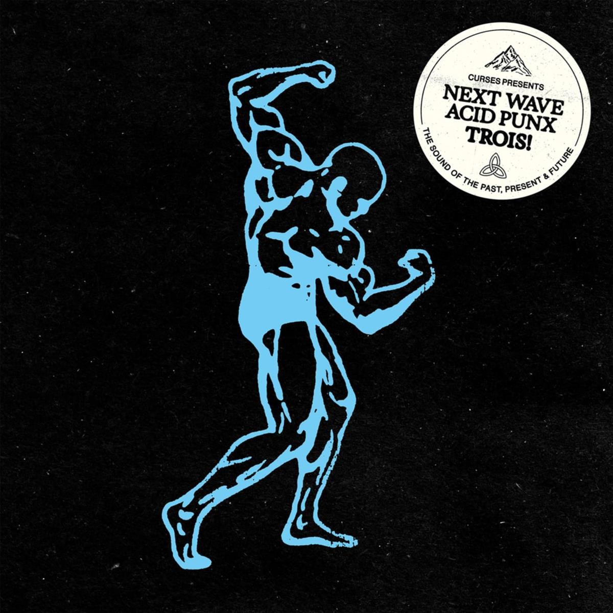 Afbeelding van Various Artists - Curses presents: Next Wave Acid Punx Trois!