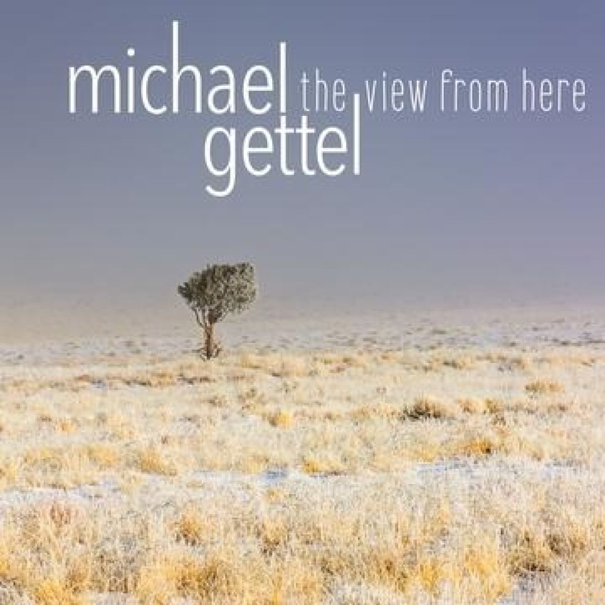 Afbeelding van Michael Gettel - The View From Here