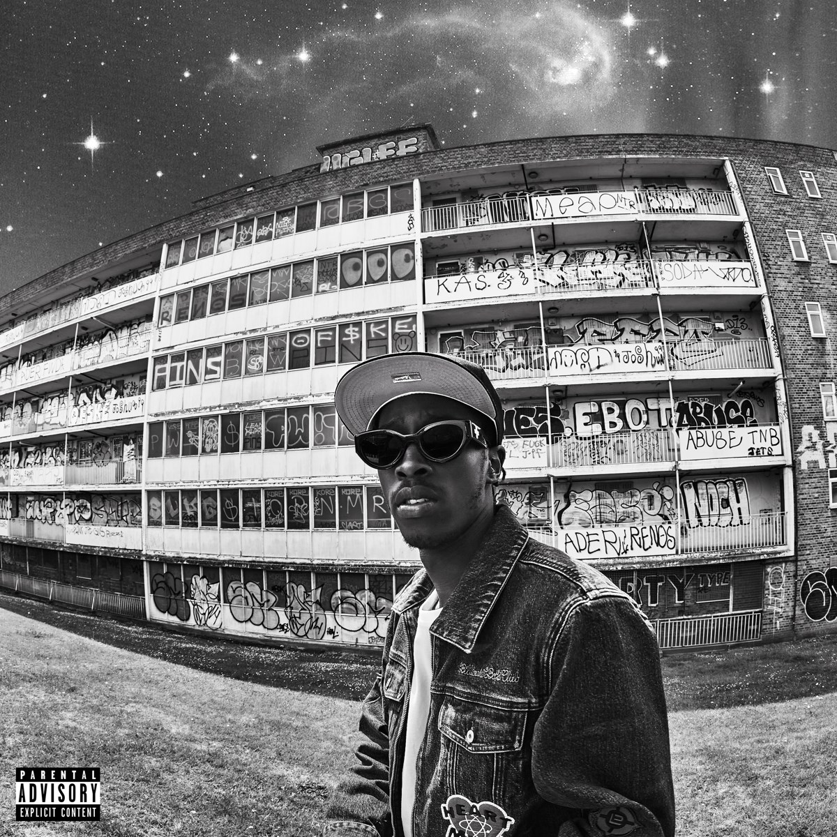Afbeelding van Unknown T - Rise Above Hate
