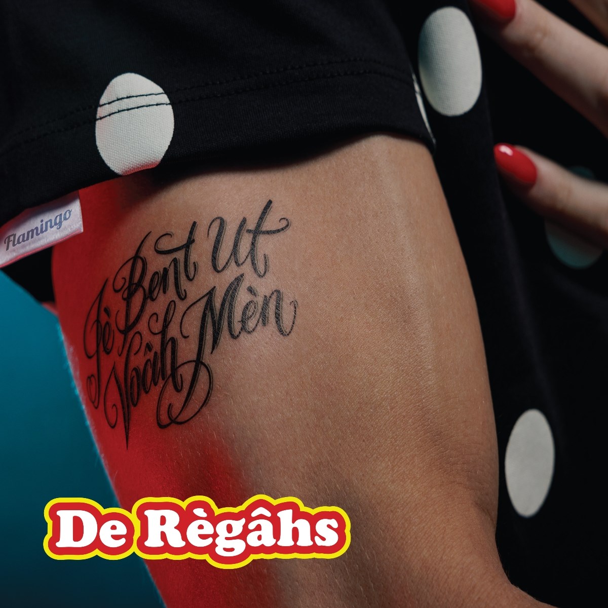 De Regahs - Je Bent Ut Voah Men / De Meisjes Uit Den Haag