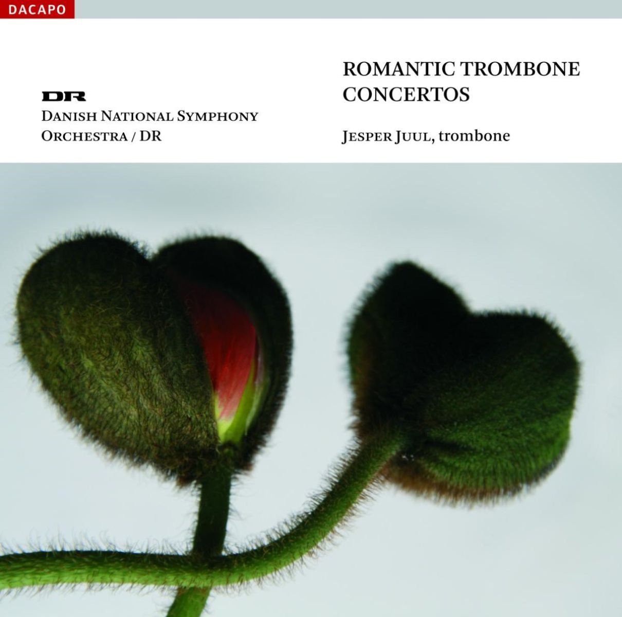 Afbeelding van Jesper Juul Windahl, Danish National Symphony Orchestra - Romantic Trombone Concertos