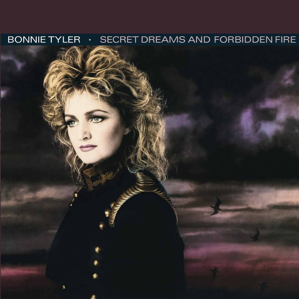 Afbeelding van Bonnie Tyler - Secret Dreams And Forbidden Fire