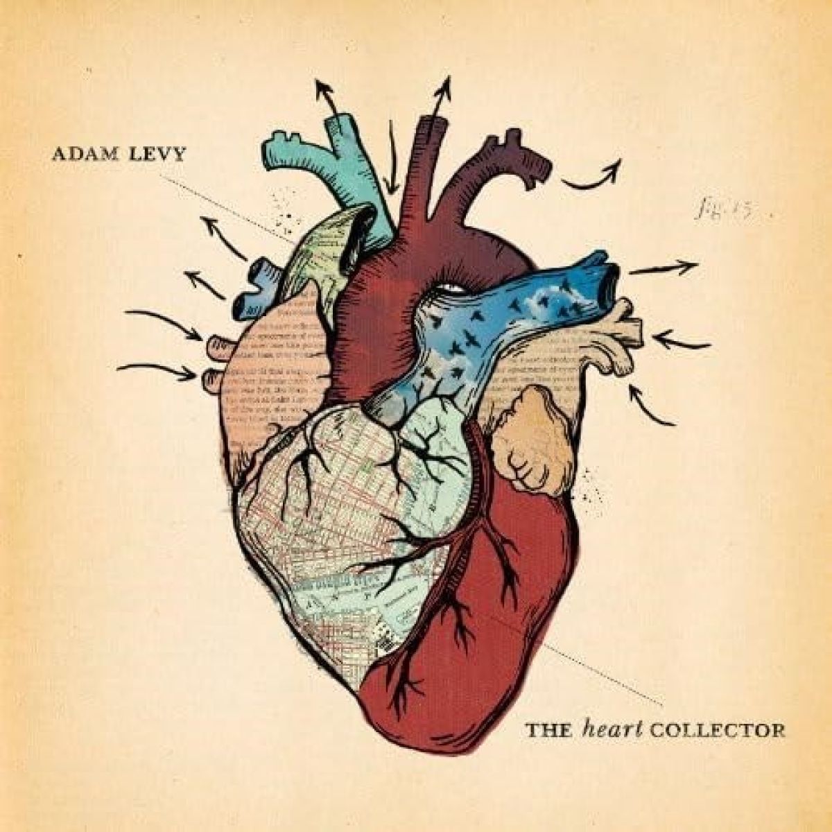 Afbeelding van Adam Levy - The Heart Collector