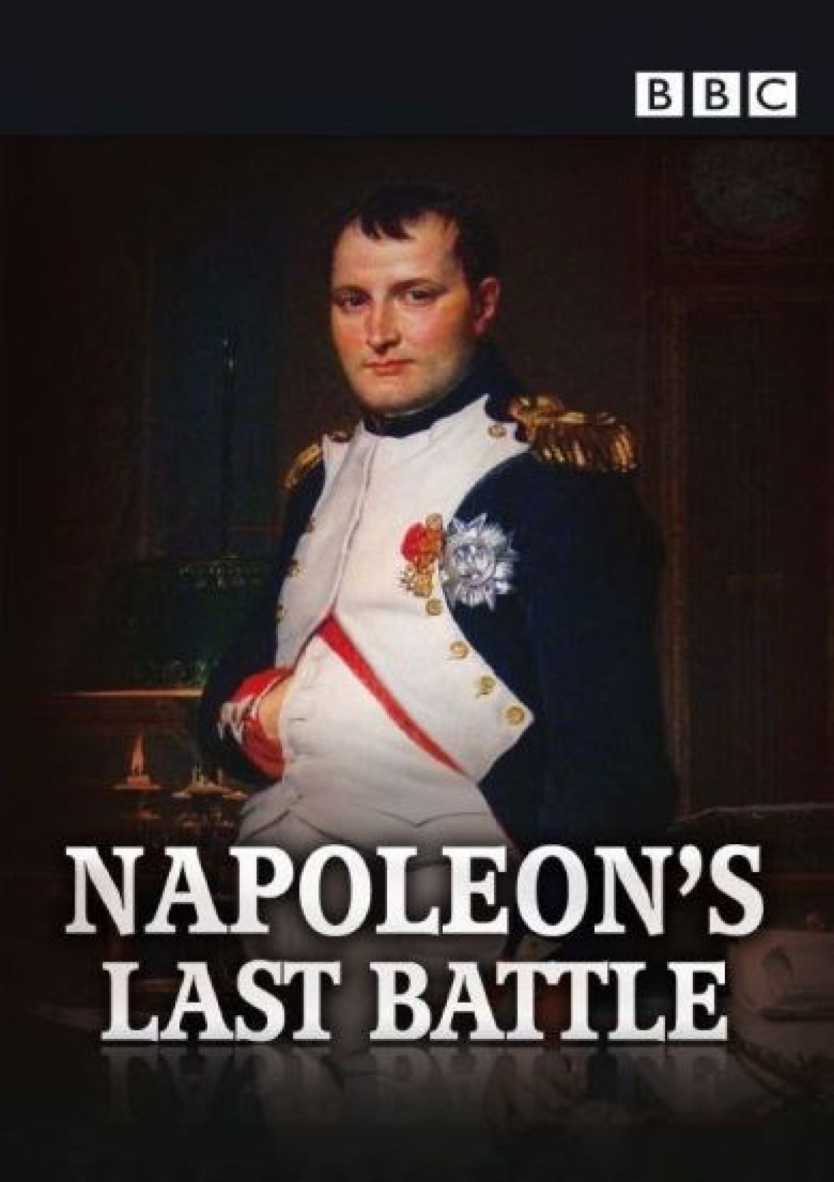 Afbeelding van Napoleon's Last Battle