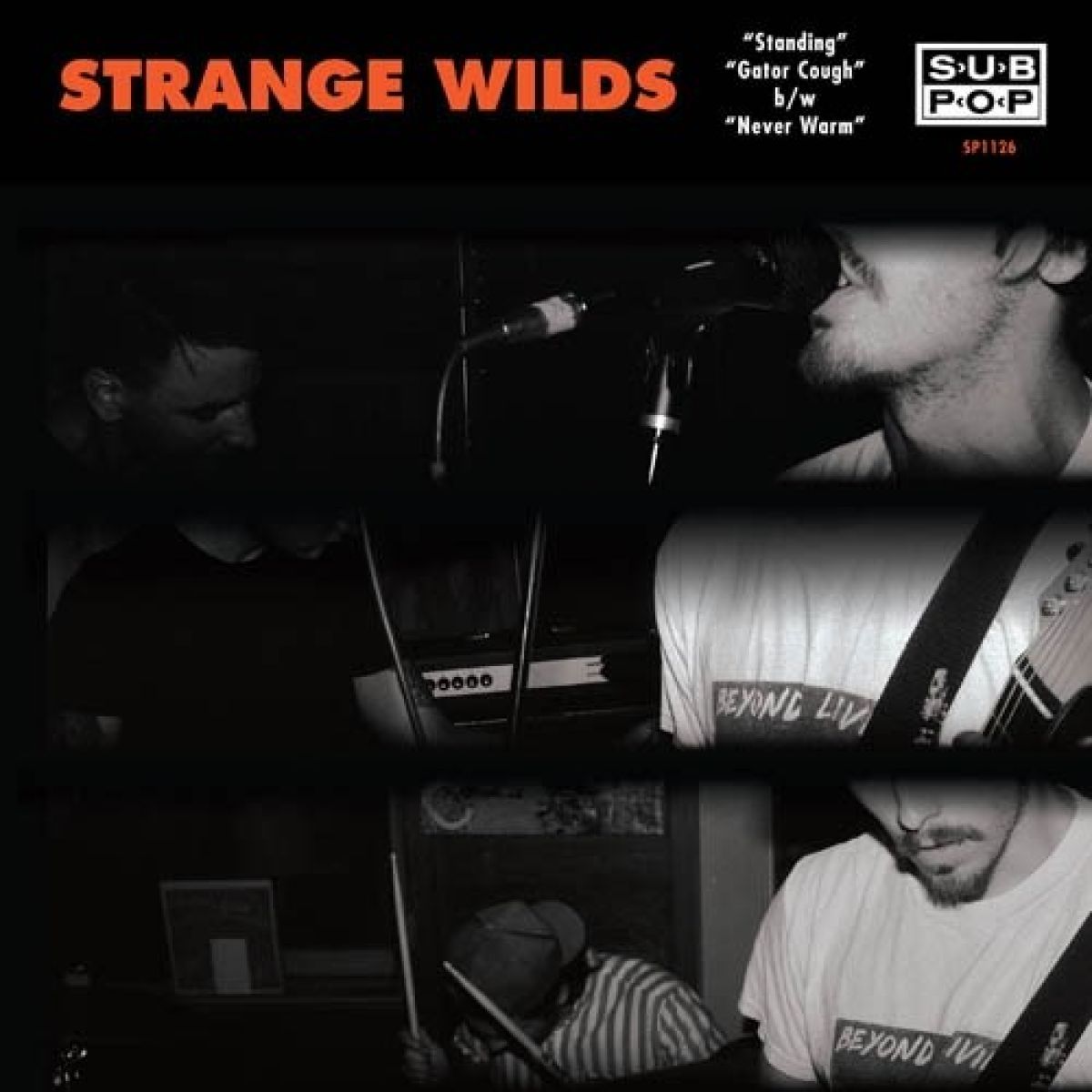 Afbeelding van Strange Wilds - Standing