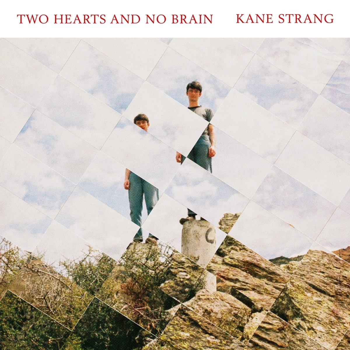 Afbeelding van Two Hearts And No Brain