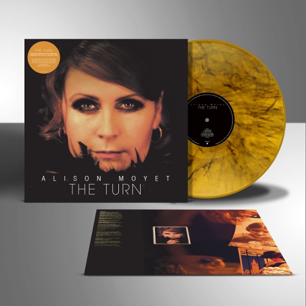 Afbeelding van Alison Moyet - The Turn
