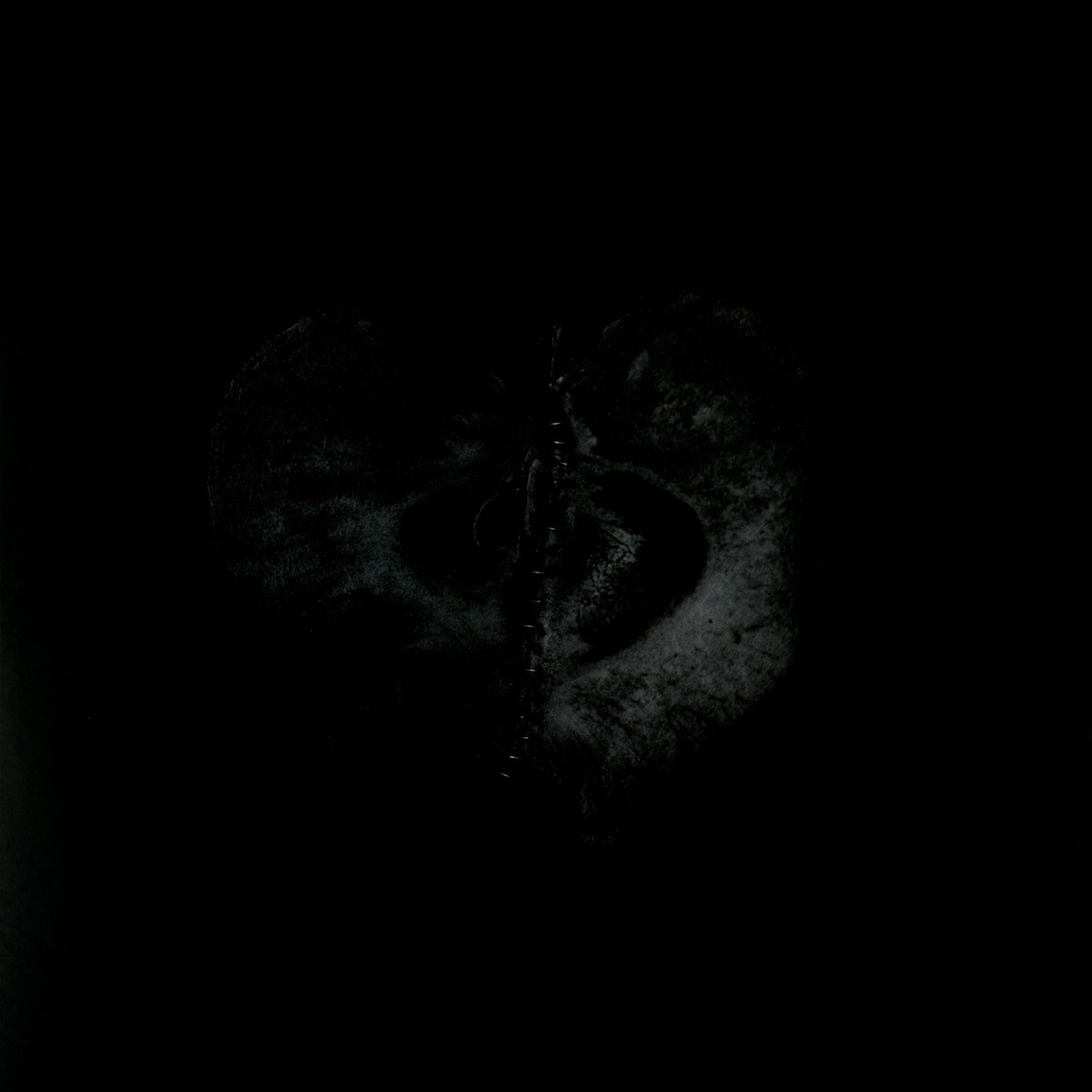 Afbeelding van Sádon & Treha Sektori - Symphony Of Dying