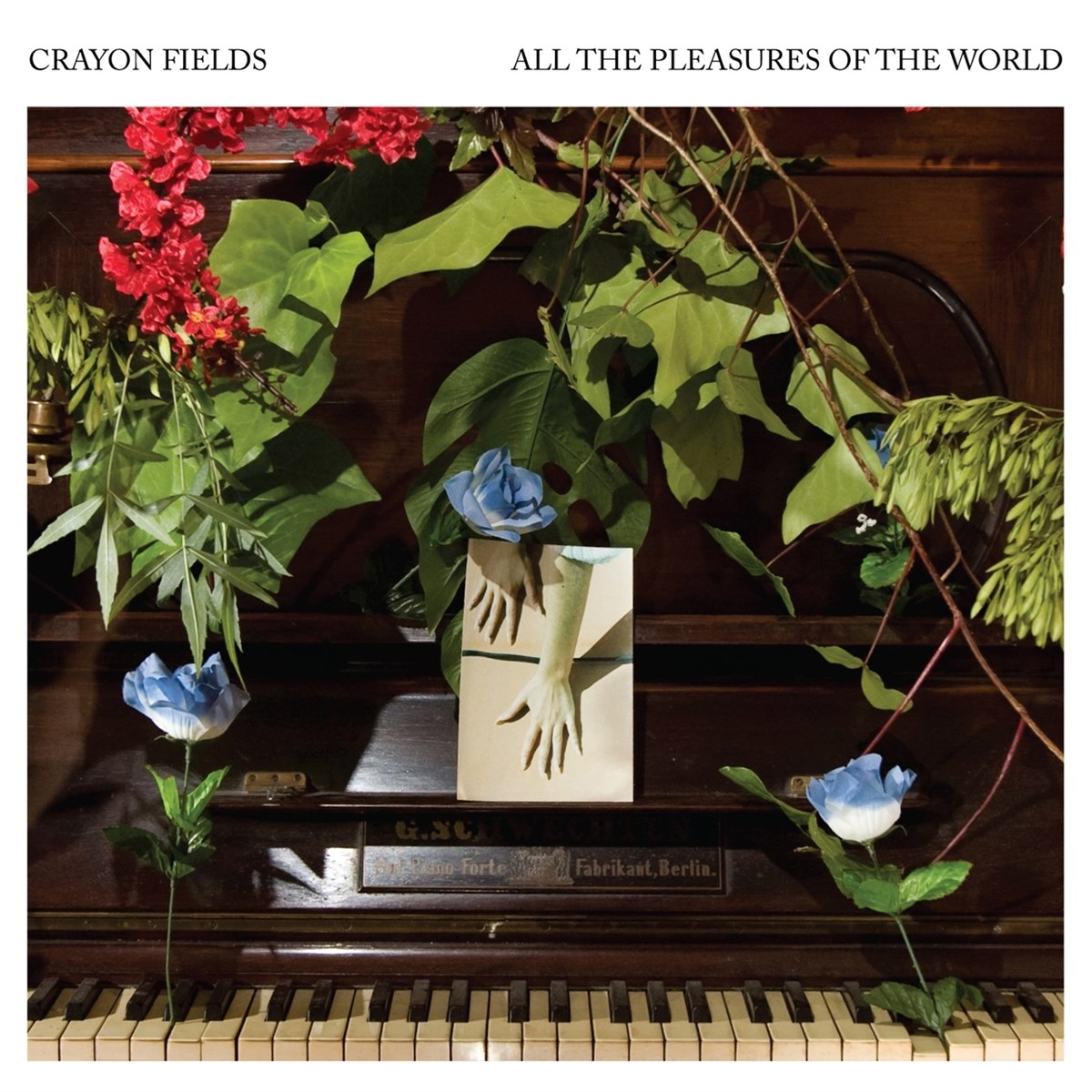 Afbeelding van Crayon Fields - All The Pleasures Of The World