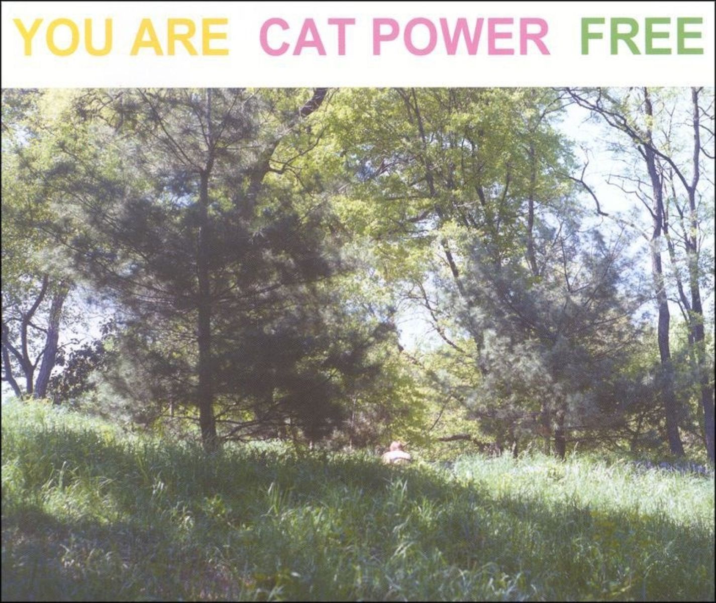 Afbeelding van Cat Power - You Are Free