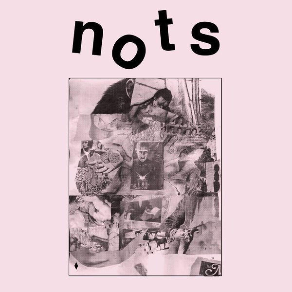 Afbeelding van We Are Nots