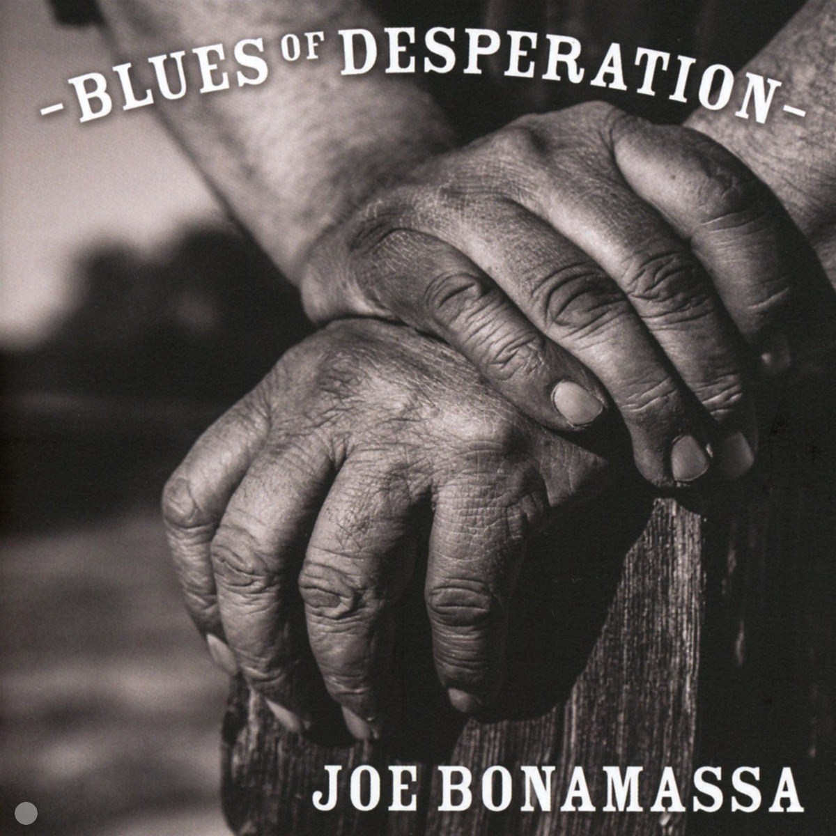 Afbeelding van Blues Of Desperation