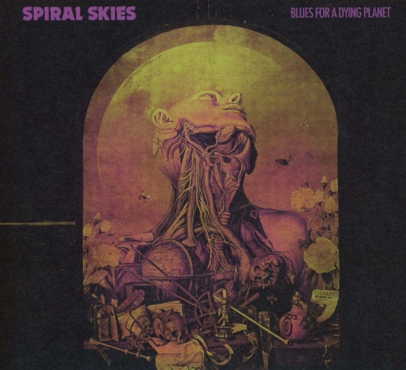 Afbeelding van Spiral Skies - Blues For A Dying Planet
