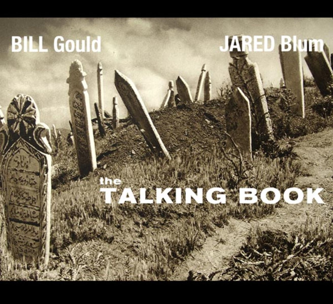 Afbeelding van Talking Book