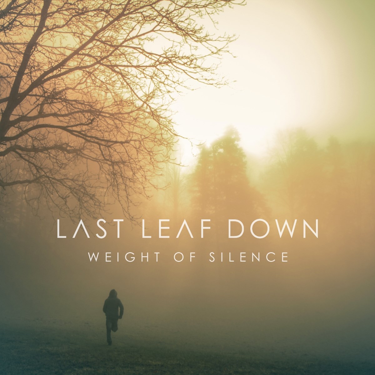 Afbeelding van Last Leaf Down - Weight Of Silence