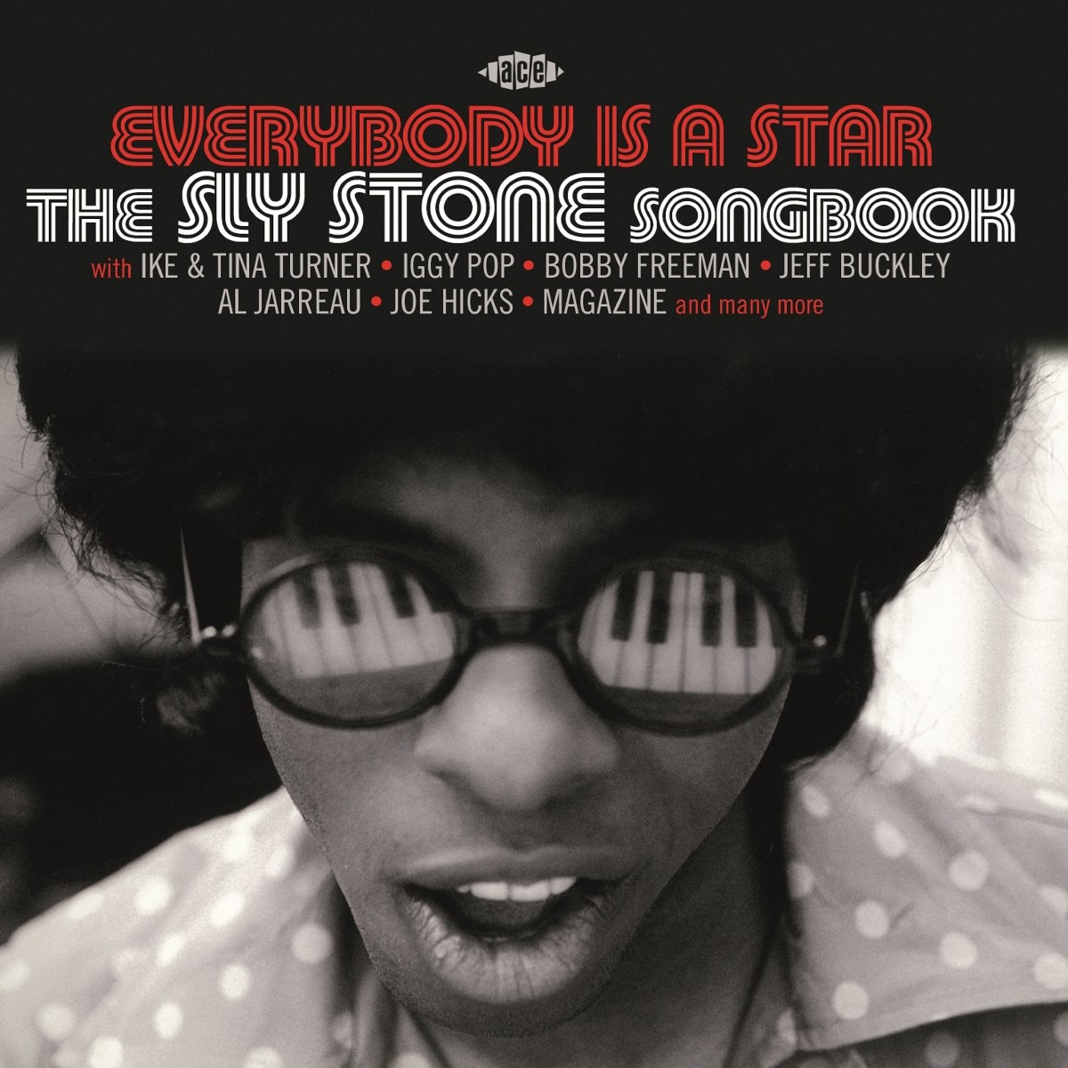 Afbeelding van Various Artists - Everybody Is A Star: The Sly Stone Songbook