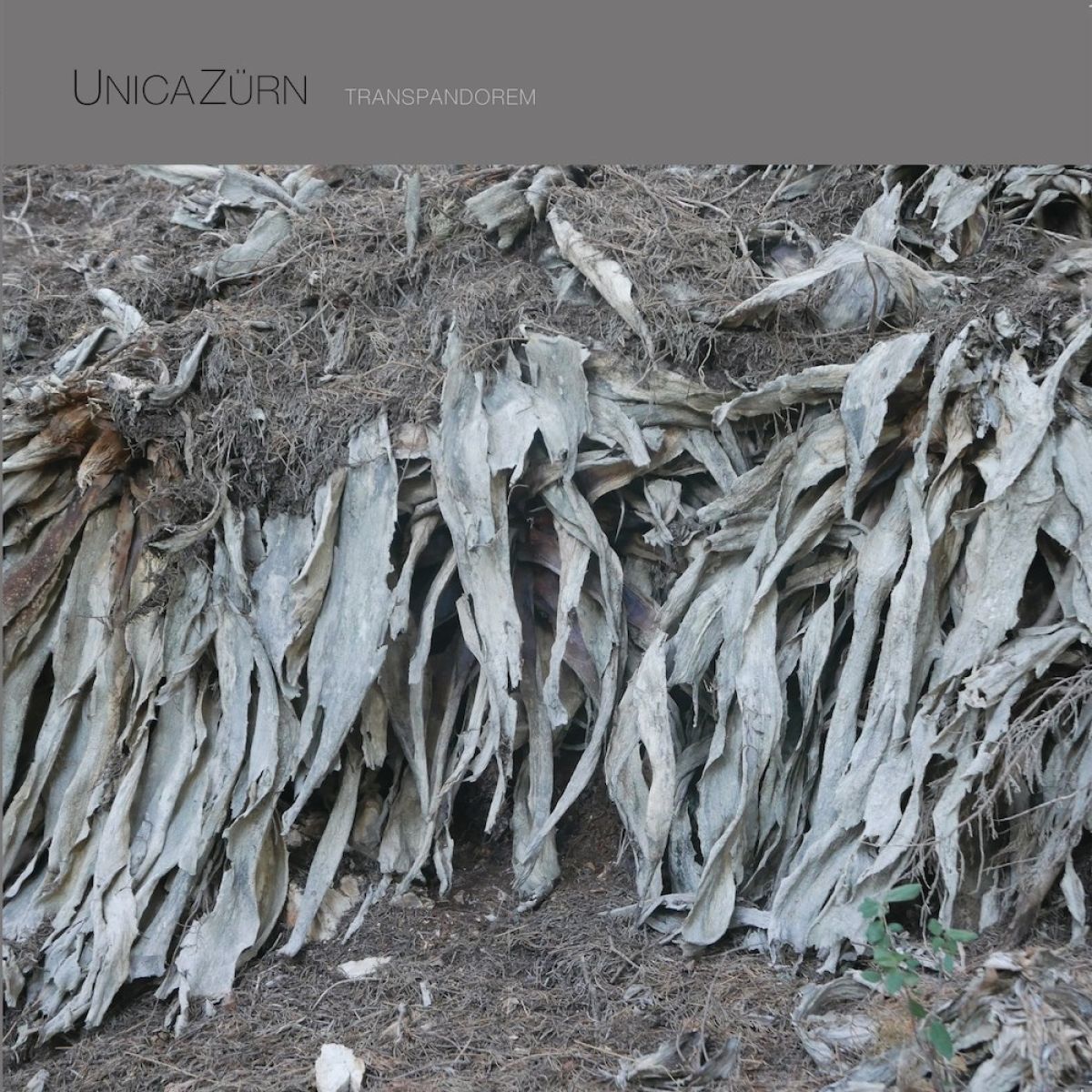 Afbeelding van UnicaZürn - Transpandorem