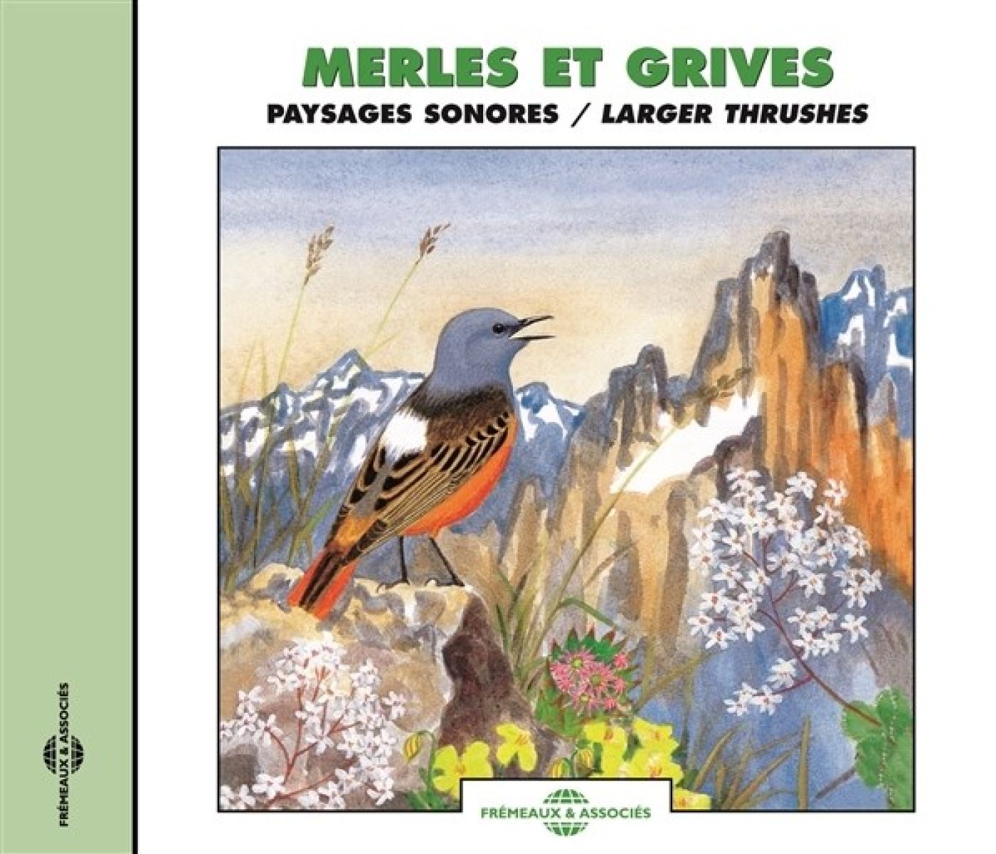 Afbeelding van Sound Effects Birds - Larger Thrushes