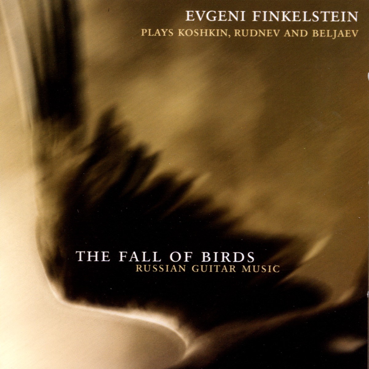 Afbeelding van Evgeni Finkelstein - The Fall Of Birds. Russian Guitar Music (Evgeni Finkelstein Plays Koshkin, Rudnev And Beljaev)