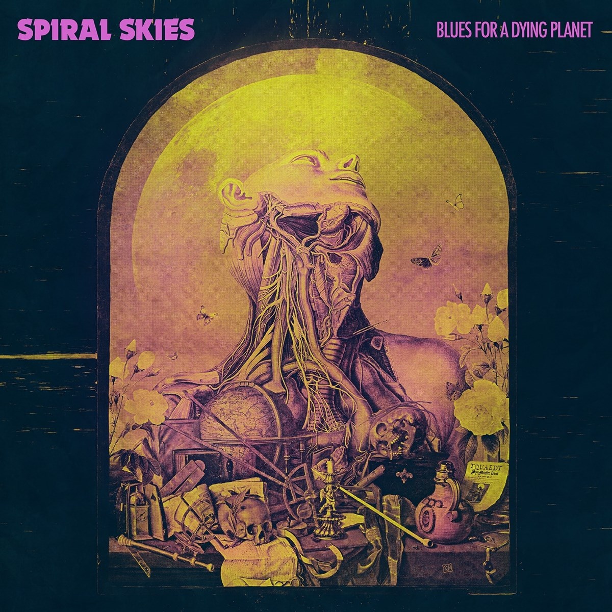Afbeelding van Spiral Skies - Blues For A Dying Planet