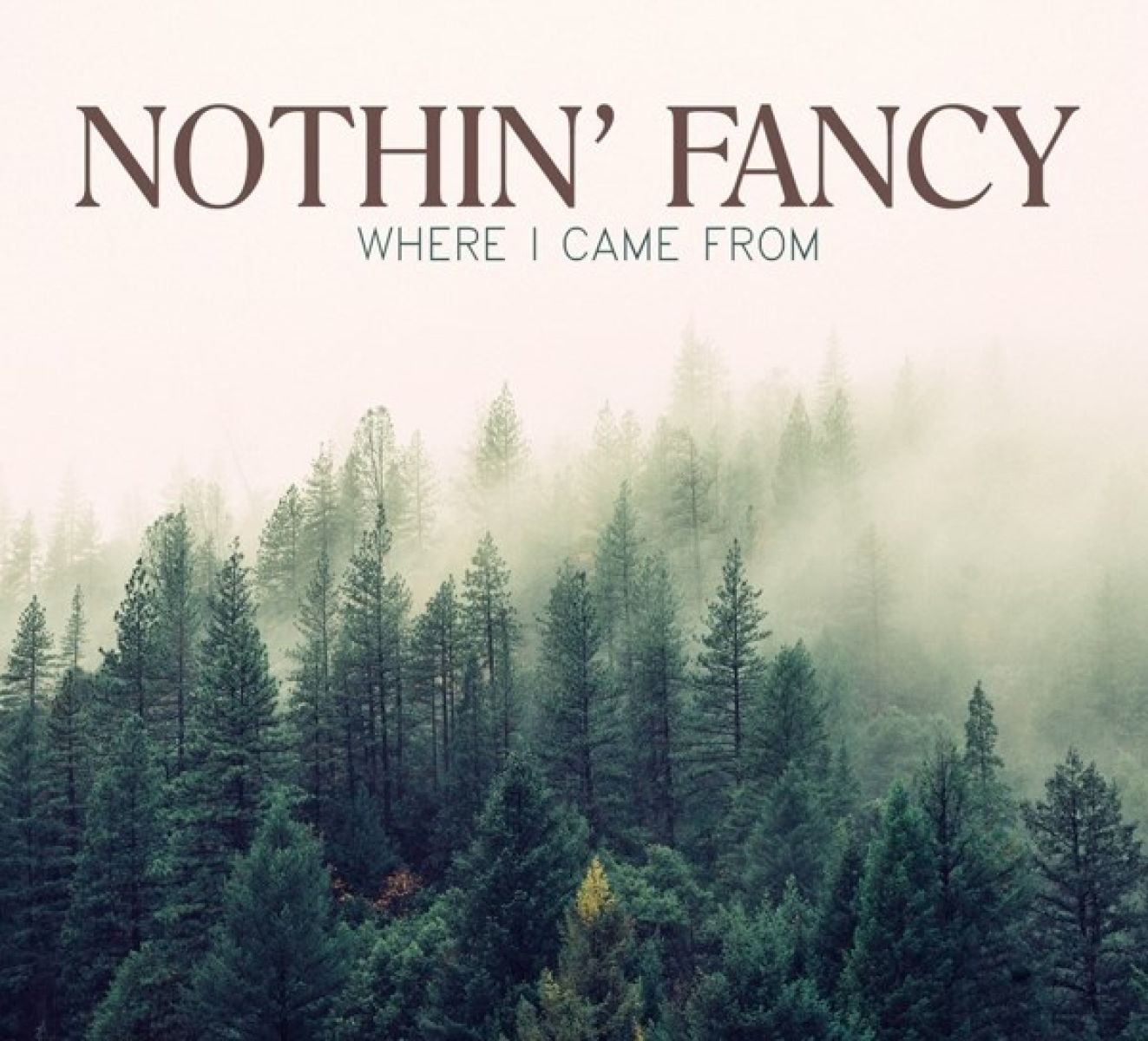 Afbeelding van Nothin' Fancy - Where I Came From