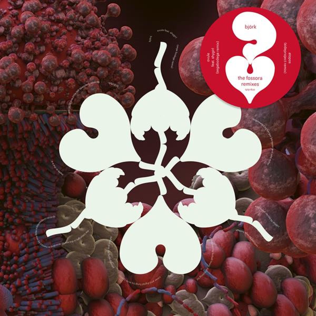 Afbeelding van Björk Feat. Shygirl - The Fossora Remixes