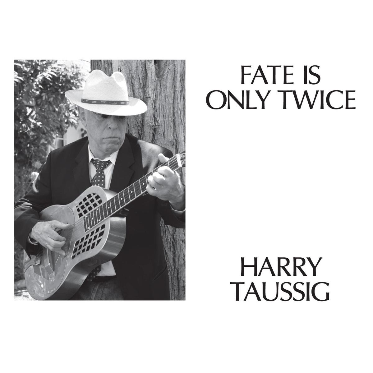 Afbeelding van Fate Is Only Twice