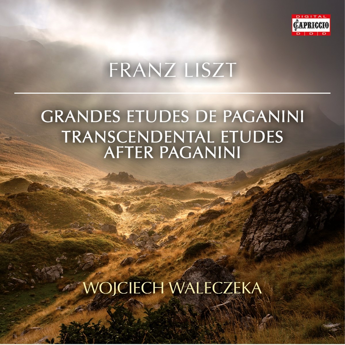Afbeelding van Wojciech Waleczek - Grande Études De Paganini