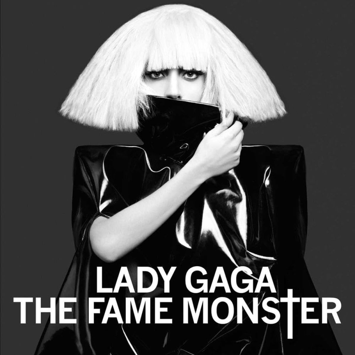 Afbeelding van Lady Gaga - The Fame Monster