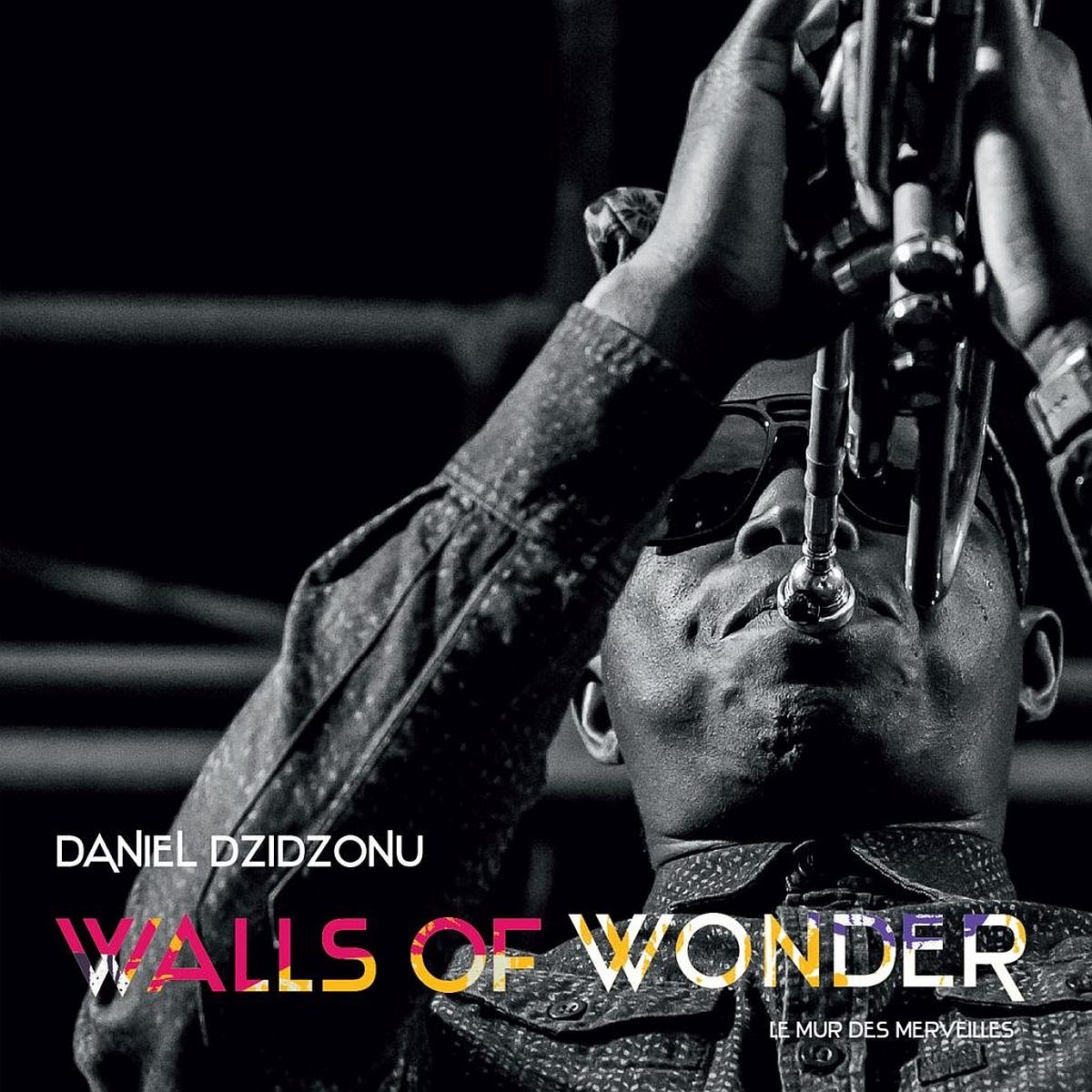 Afbeelding van Daniel Dzidzonu - Walls Of Wonder
