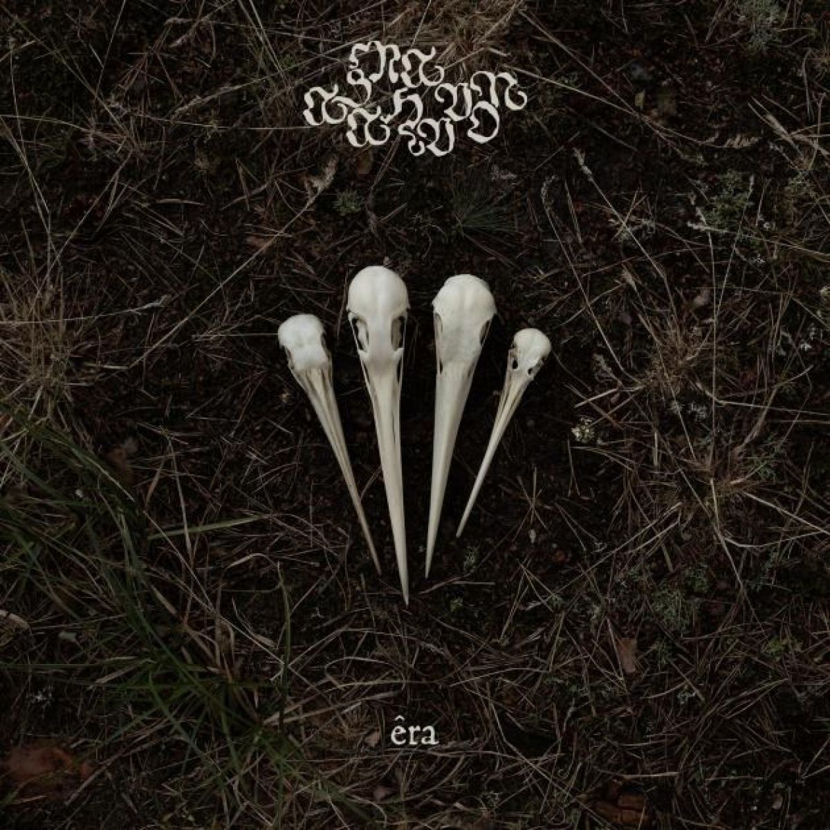 Magnetar - There Will Be No Peace In My Valley