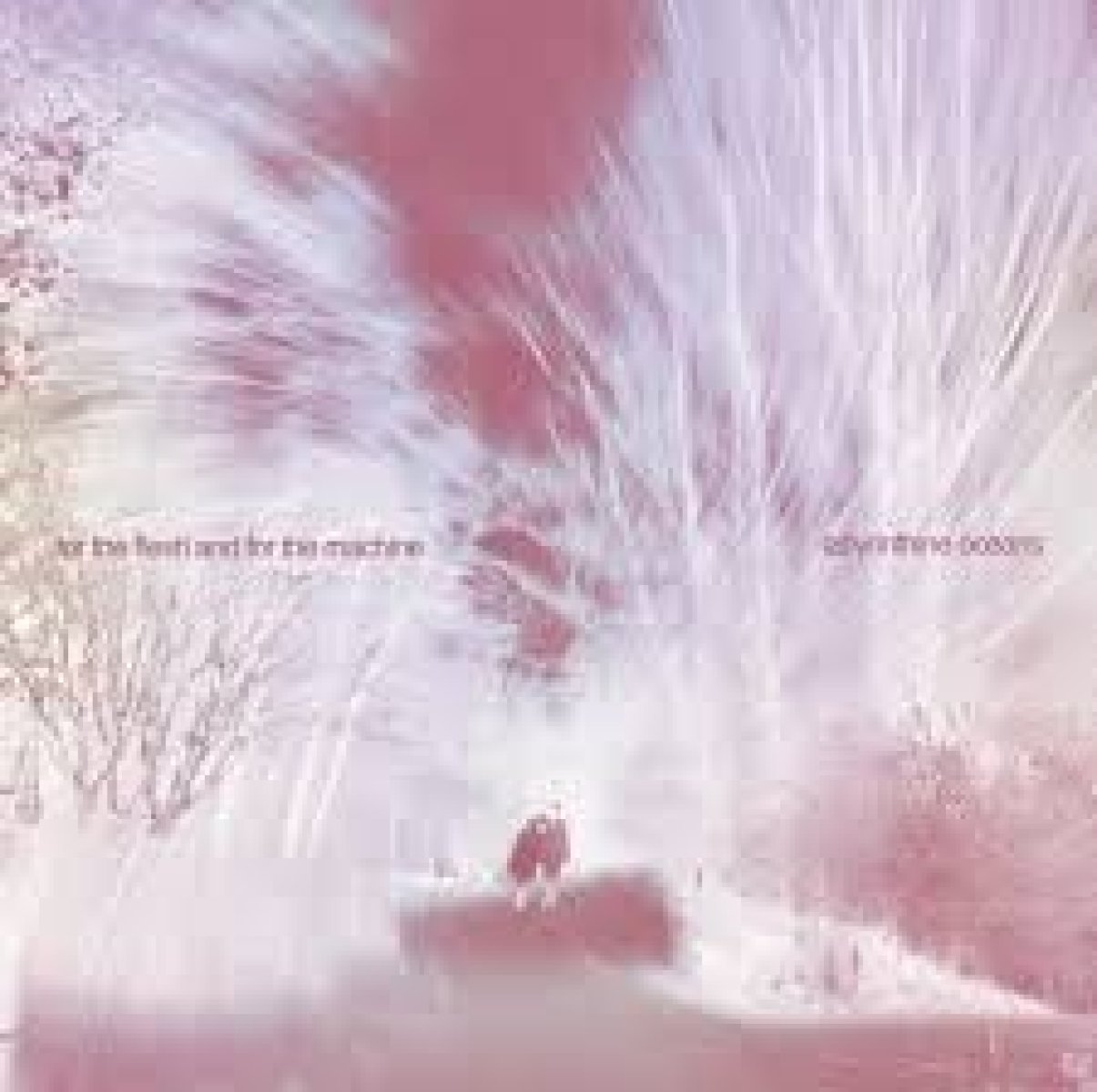 Afbeelding van Labyrinthine Oceans - For The Flesh And For The Machine