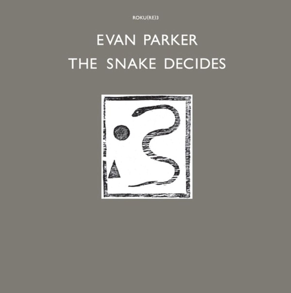 Afbeelding van Evan Parker - Snake Decides