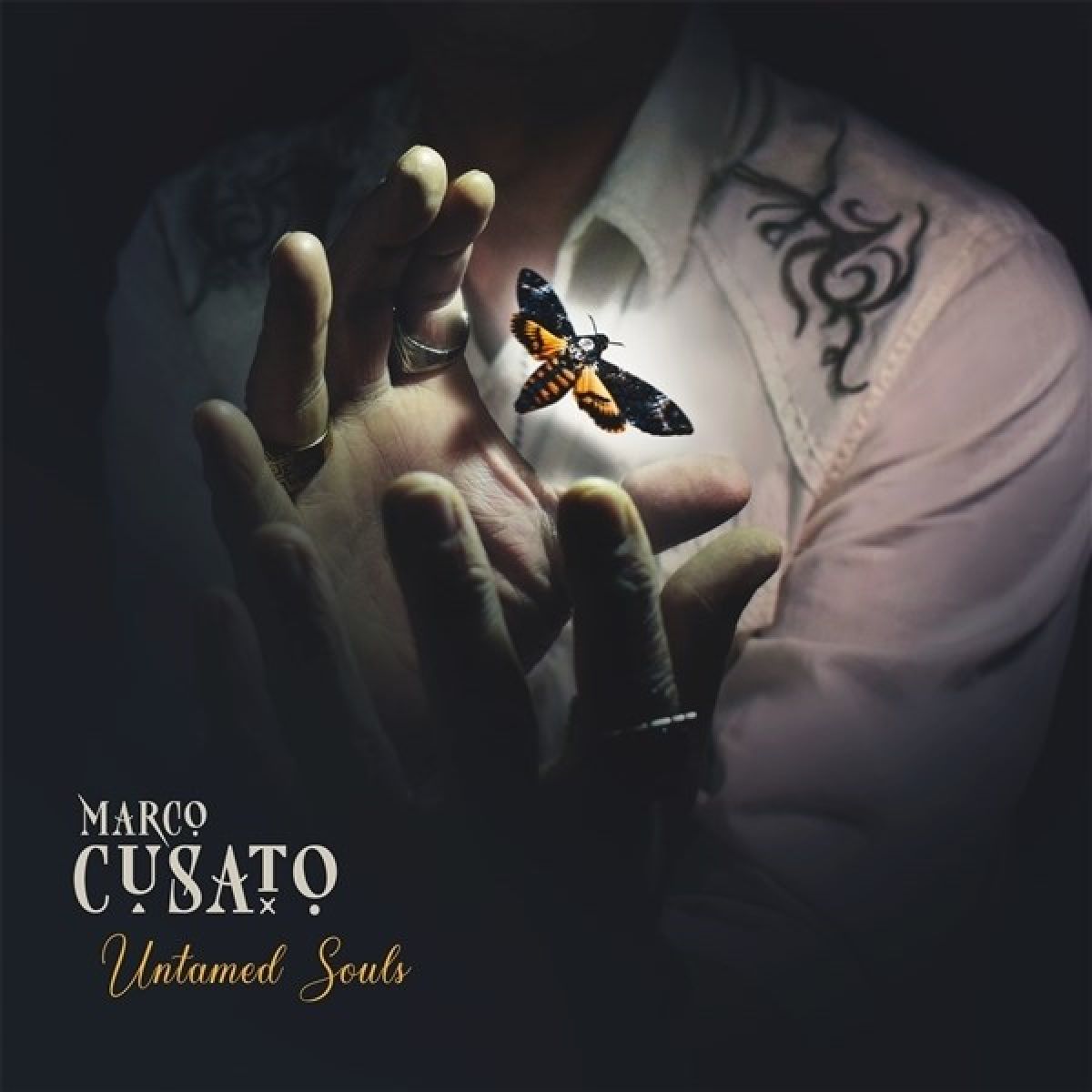 Afbeelding van Marco Cusato - Untamed Souls