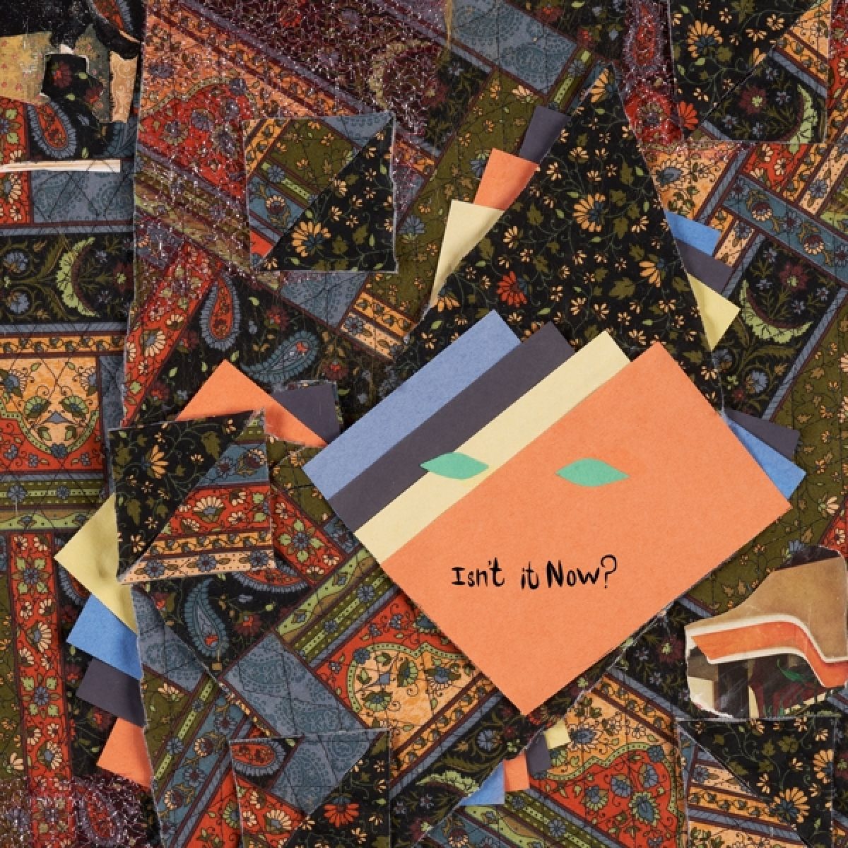 Afbeelding van Animal Collective - Isn't It Now?