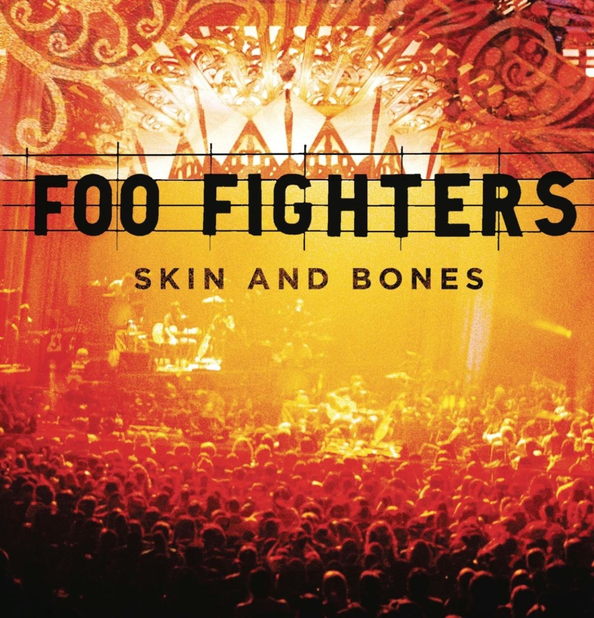 Afbeelding van Foo Fighters - Skin And Bones