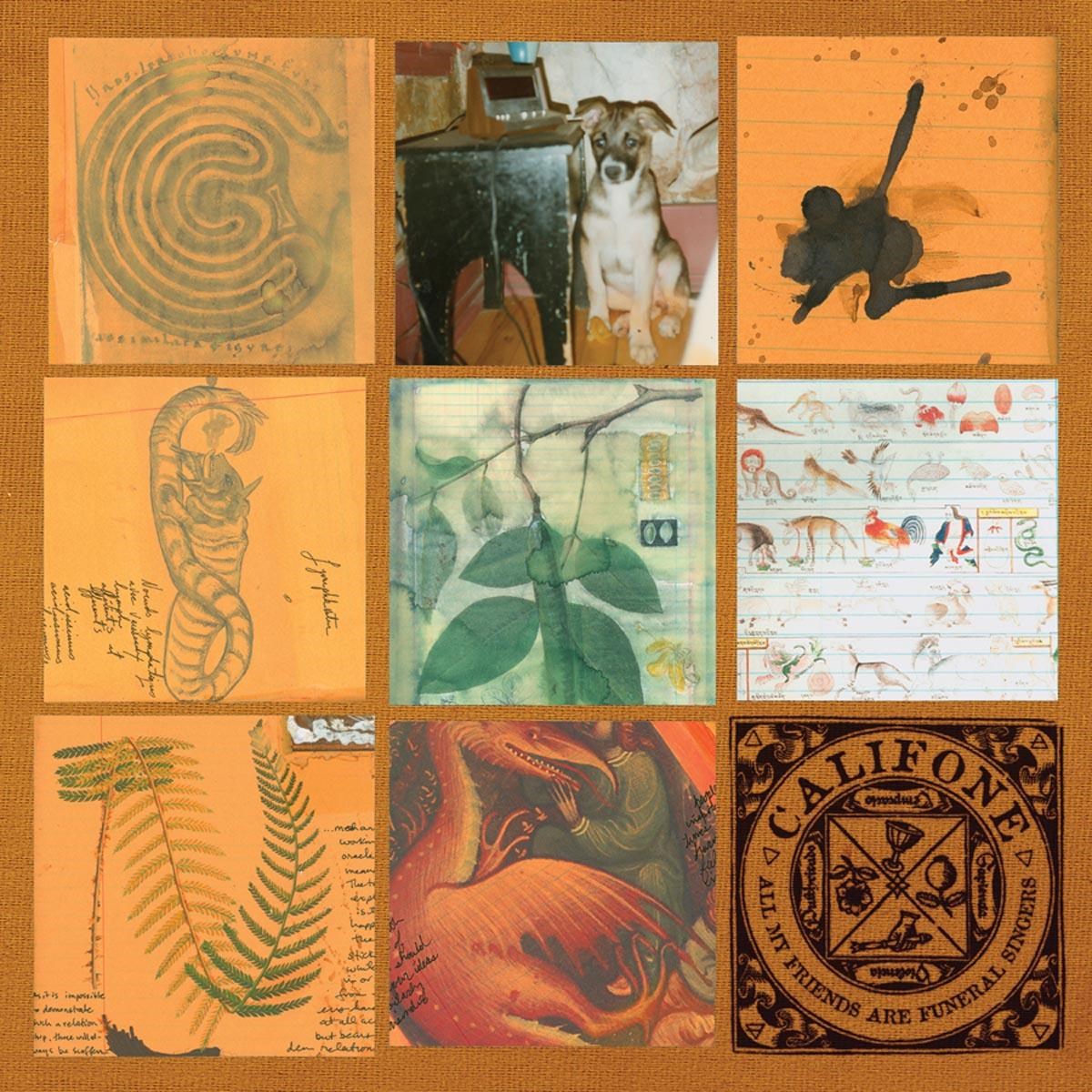 Afbeelding van Califone - All My Friends Are Funeral Singers