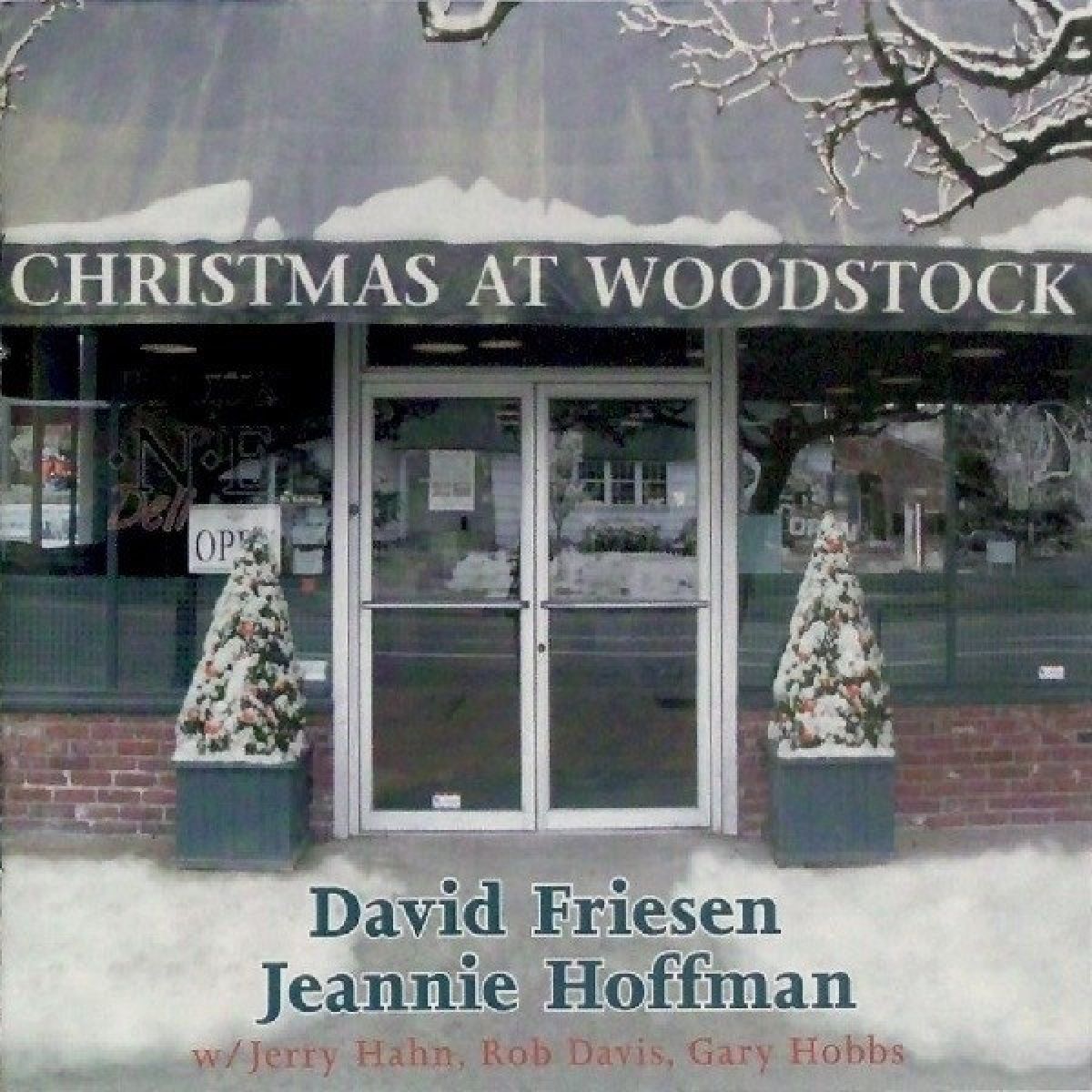 Afbeelding van David Friesen & Jeannie Hoffman - Christmas At Woodstock