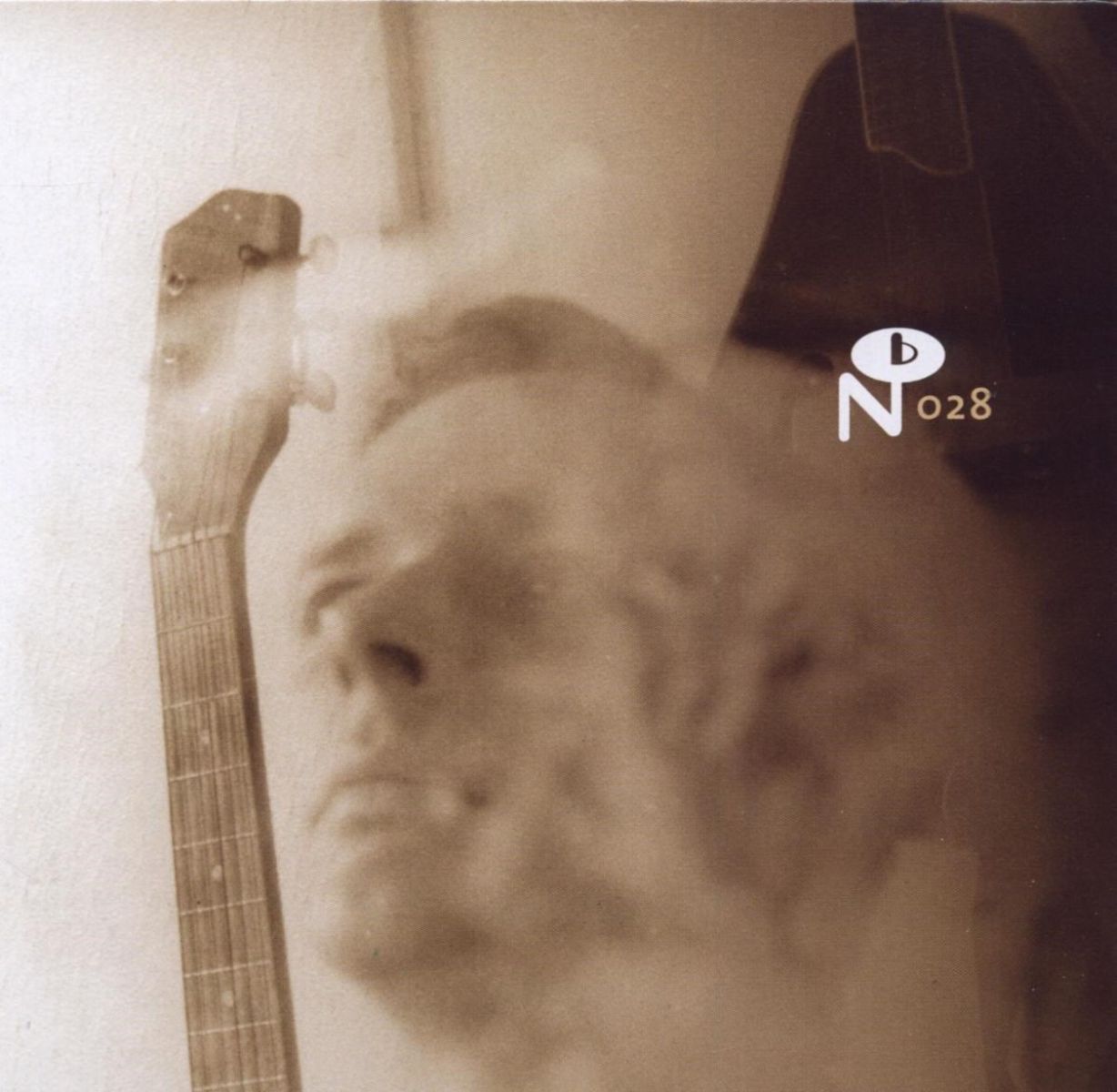 Afbeelding van Various Artists - Wayfaring Strangers: Lonesome Heroes